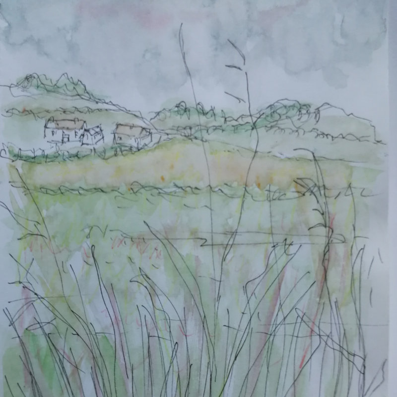 Sketch & Stroll, Norfolk Wildlife Trust Cley Marshes, Coast Road, Cley, Norfolk, NR25 7SA | Create a visual record of the day on a gentle walk around Cley Marshes stopping at intervals to make lively, atmospheric sketches. | Birds, guide, nature